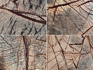 Rain Forest Brown Marble Brushed and Polished 